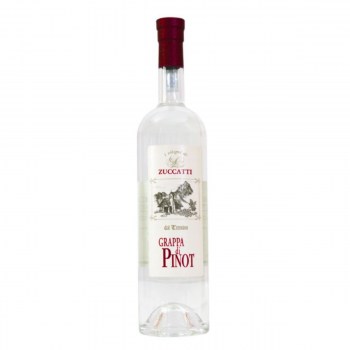 grappa pinot